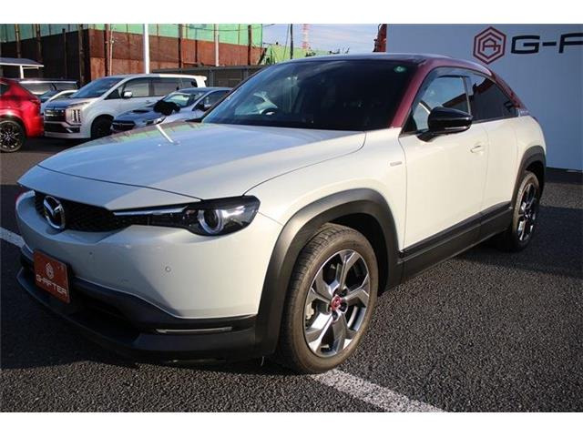 ���Ǝҗl�ւ̔̔��͂��f�肳���Ă��������܂��B�Ԍ������ԗ��̏ꍇ�́A�Ԍ����擾�������x�������z�ŕ\�����Ă���܂��B