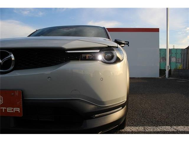 ���Ǝҗl�ւ̔̔��͂��f�肳���Ă��������܂��B�Ԍ������ԗ��̏ꍇ�́A�Ԍ����擾�������x�������z�ŕ\�����Ă���܂��B