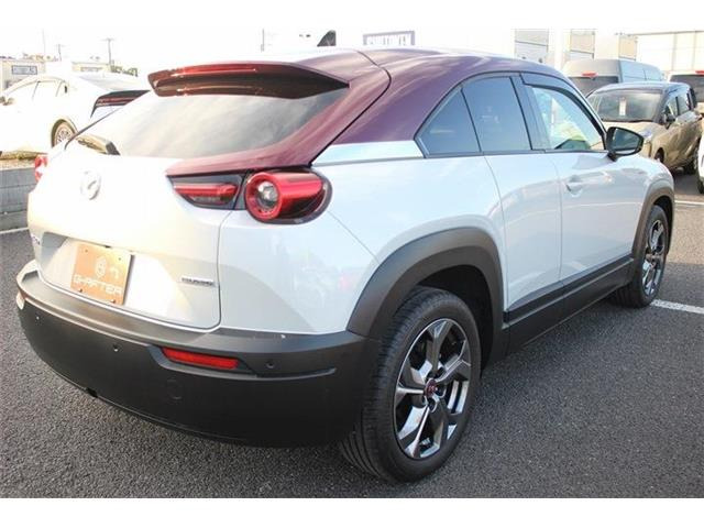 ���Ǝҗl�ւ̔̔��͂��f�肳���Ă��������܂��B�Ԍ������ԗ��̏ꍇ�́A�Ԍ����擾�������x�������z�ŕ\�����Ă���܂��B