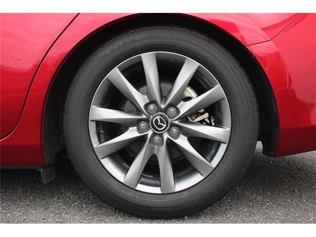 ���Ǝҗl�ւ̔̔��͂��f�肳���Ă��������܂��B �Ԍ������ԗ��̏ꍇ�́A�Ԍ����擾�������x�������z�ŕ\�����Ă���܂��B