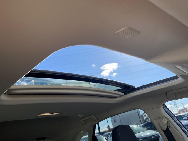 �y�T�����[�t�z�J���������Ղ�̊󏭑����A�T�����[�t����������Ă��܂�!�ԓ��ɖ�����������ꂽ��i�F���y���ވȊO�ɂ��A�ԓ��̋�C���ȒP�Ɋ��C�ł��ĉ��K�ł�!