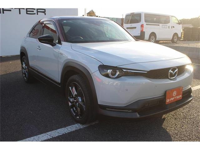 ���Ǝҗl�ւ̔̔��͂��f�肳���Ă��������܂��B�Ԍ������ԗ��̏ꍇ�́A�Ԍ����擾�������x�������z�ŕ\�����Ă���܂��B