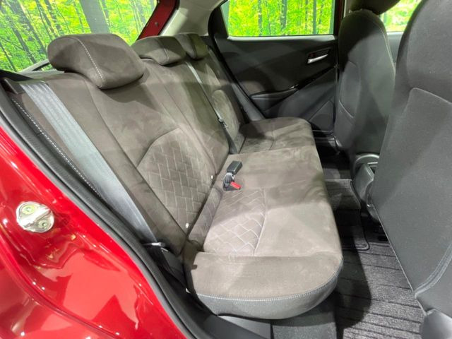 �㕔���Ȃ��C�ɂȂ�悤�ȃL�Y�E�����ւ��蓙�A�傫�ȃ_���[�W�͂Ȃ��A�ǍD�ȏ�Ԃł��B