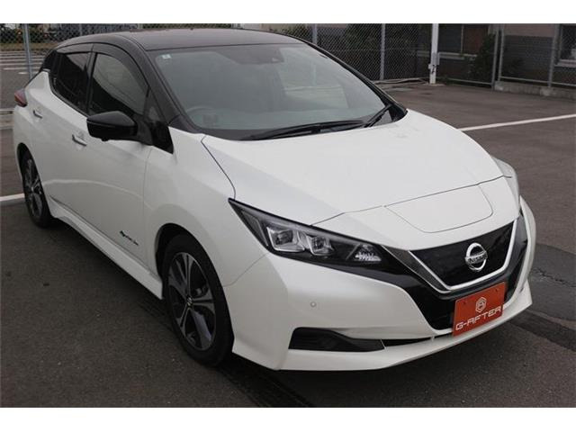 ���Ǝҗl�ւ̔̔��͂��f�肳���Ă��������܂��B �Ԍ������ԗ��̏ꍇ�́A�Ԍ����擾�������x�������z�ŕ\�����Ă���܂��B