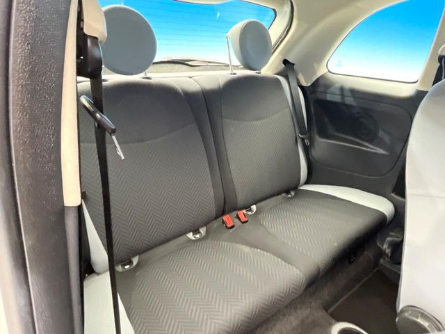 ���㕔���Ȃ��C�ɂȂ�悤�ȃL�Y�E�����ւ��蓙�A�傫�ȃ_���[�W�͂Ȃ��A�ǍD�ȏ�Ԃł��B