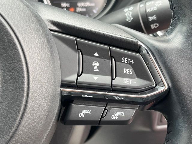 �y�}�c�_�E���[�_�[�N���[�Y�R���g���[���z�������H�ł̒��������s���y��!�����ő��x��ۂN���[�Y�R���g���[�����A�Փˌy���V�X�e���ƘA�g���A�O���̎ԗ������m���ĎԊԂ�ۂ悤�ɑ��x���߂��Ă���܂�!!