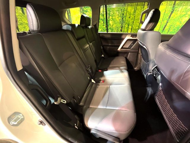 �㕔���Ȃ��C�ɂȂ�悤�ȃL�Y�E�����ւ��蓙�A�傫�ȃ_���[�W�͂Ȃ��A�ǍD�ȏ�Ԃł��B