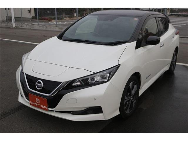 ���Ǝҗl�ւ̔̔��͂��f�肳���Ă��������܂��B �Ԍ������ԗ��̏ꍇ�́A�Ԍ����擾�������x�������z�ŕ\�����Ă���܂��B