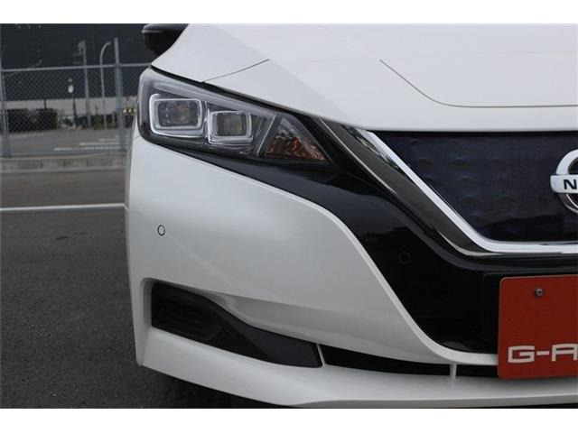 ���Ǝҗl�ւ̔̔��͂��f�肳���Ă��������܂��B �Ԍ������ԗ��̏ꍇ�́A�Ԍ����擾�������x�������z�ŕ\�����Ă���܂��B