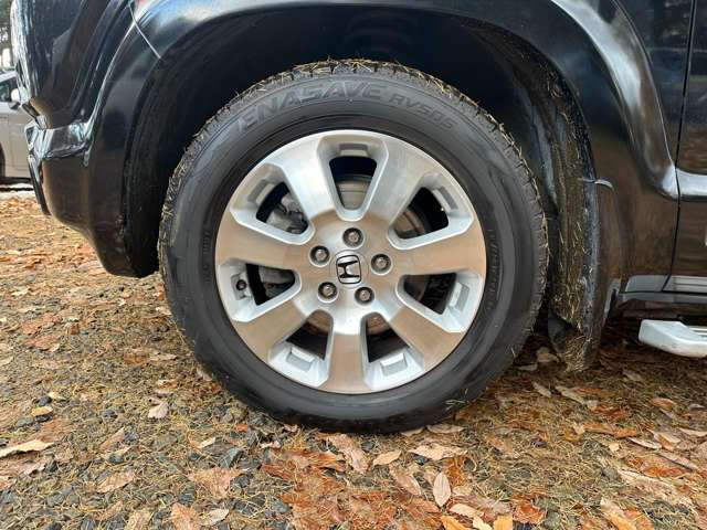 ♪♪車も鮮度が命!新鮮な車をお届けいたします!!中古車といえばケンモータース♪♪