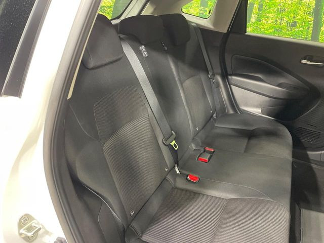 �㕔���Ȃ��C�ɂȂ�悤�ȃL�Y�E�����ւ��蓙�A�傫�ȃ_���[�W�͂Ȃ��A�ǍD�ȏ�Ԃł��B