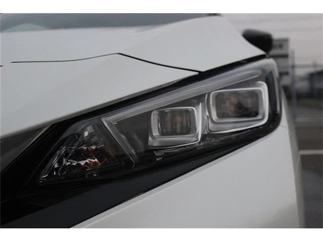 ���Ǝҗl�ւ̔̔��͂��f�肳���Ă��������܂��B �Ԍ������ԗ��̏ꍇ�́A�Ԍ����擾�������x�������z�ŕ\�����Ă���܂��B