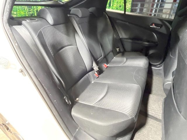 �㕔���Ȃ��C�ɂȂ�悤�ȃL�Y�E�����ւ��蓙�A�傫�ȃ_���[�W�͂Ȃ��A�ǍD�ȏ�Ԃł��B