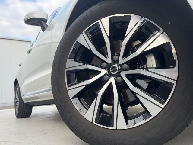 ������19�C���`�A���~�z�C�[��:�A���ԂȂ�ł͂̑�z����������x����z�C�[���Ƒ����ł�!���{�Ԃ̑���Ɋ���Ă�����ɂ����Б̊����Ē��������قǁA�������x���ł܂Ƃ܂��Ă��܂�!