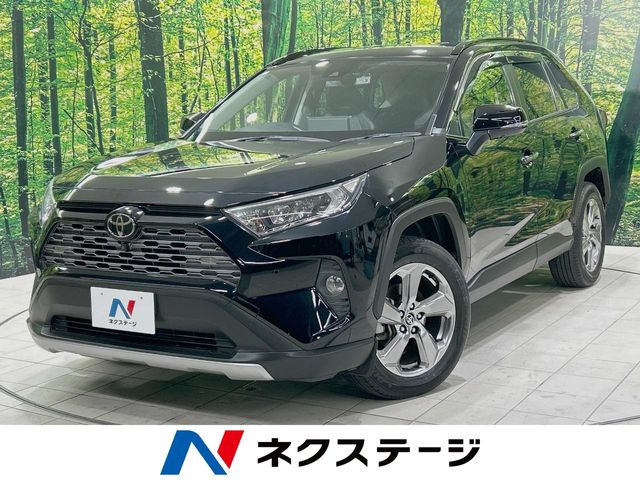 RAV4(トヨタ) 2.0 G 4WD 中古車画像