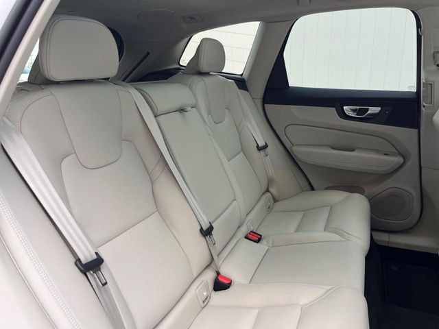 ���㕔���Ȃ��C�ɂȂ�悤�ȃL�Y�E�����ւ��蓙�A�傫�ȃ_���[�W�͂Ȃ��A�ǍD�ȏ�Ԃł��B