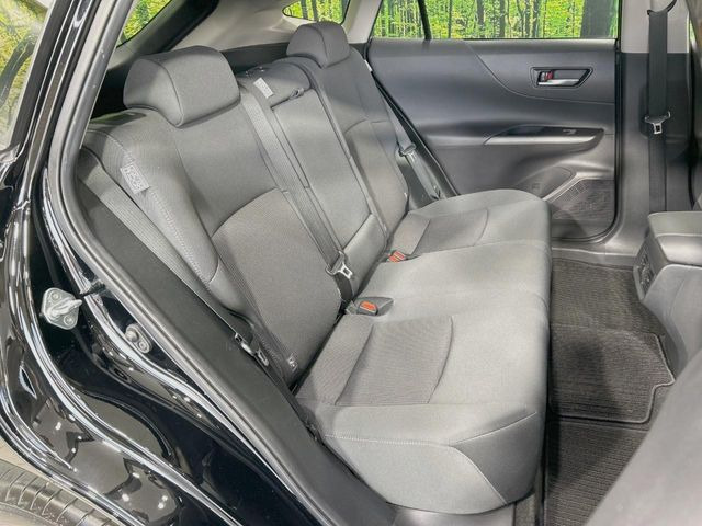 �㕔���Ȃ��C�ɂȂ�悤�ȃL�Y�E�����ւ��蓙�A�傫�ȃ_���[�W�͂Ȃ��A�ǍD�ȏ�Ԃł��B