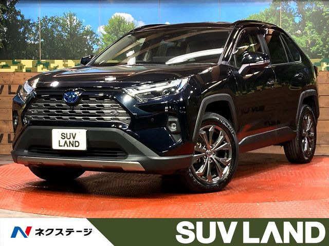 RAV42.5 ハイブリッド G E-Four 4WD