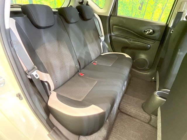 �㕔���Ȃ��C�ɂȂ�悤�ȃL�Y�E�����ւ��蓙�A�傫�ȃ_���[�W�͂Ȃ��A�ǍD�ȏ�Ԃł��B