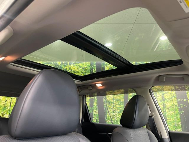 �y�T�����[�t�z�J���������Ղ�̊󏭑����A�T�����[�t����������Ă��܂�!�ԓ��ɖ�����������ꂽ��i�F���y���ވȊO�ɂ��A�ԓ��̋�C���ȒP�Ɋ��C�ł��ĉ��K�ł�!