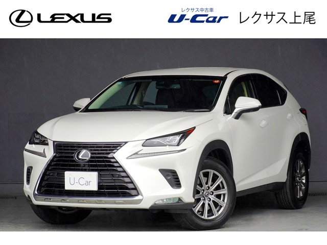 NX300 Iパッケージ