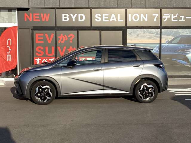 ドルフィンベースライン