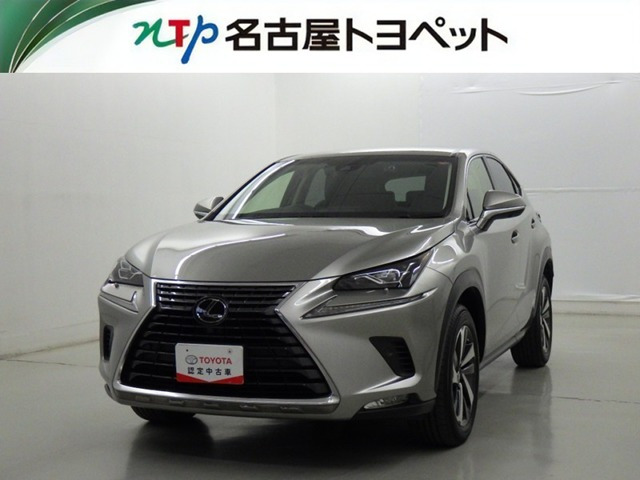 NX300 Iパッケージ