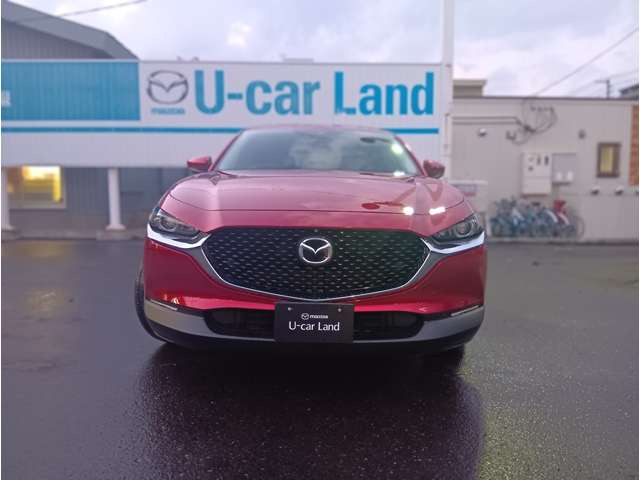 CX-301.8 XD Lパッケージ 4WD