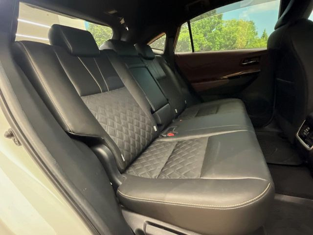 �㕔���Ȃ��C�ɂȂ�悤�ȃL�Y�E�����ւ��蓙�A�傫�ȃ_���[�W�͂Ȃ��A�ǍD�ȏ�Ԃł��B