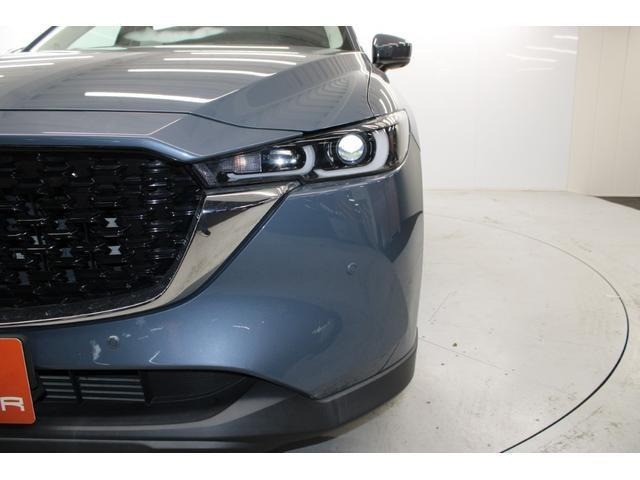 ���Ǝҗl�ւ̔̔��͂��f�肳���Ă��������܂��B �Ԍ������ԗ��̏ꍇ�́A�Ԍ����擾�������x�������z�ŕ\�����Ă���܂��B