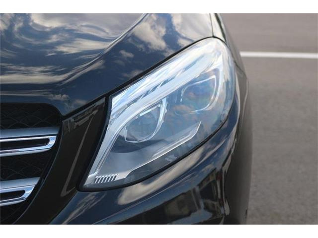 �̔��͂����X���������邨�q�l����ł��B���Ǝҗl�ւ̔̔��͂��f�肳���Ă��������܂��B�Ԍ������ԗ��̏ꍇ�́A�Ԍ����擾�������x�������z�ŕ\�����Ă���܂��B