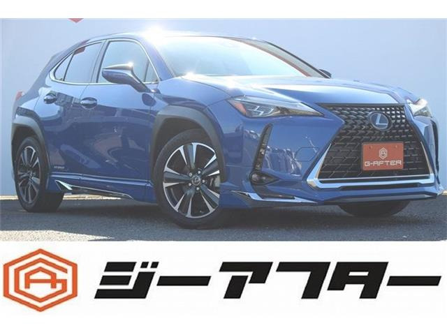 レクサス UX エアロパーツ装備の中古車一覧｜中古車検索 - 価格.com