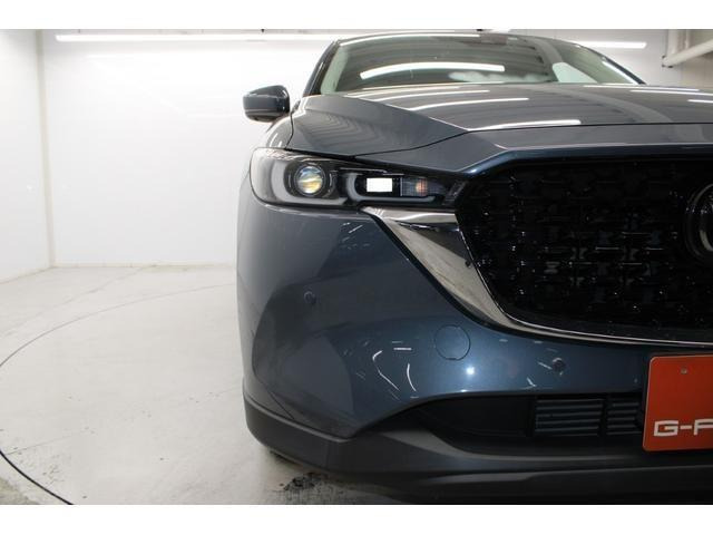 ���Ǝҗl�ւ̔̔��͂��f�肳���Ă��������܂��B �Ԍ������ԗ��̏ꍇ�́A�Ԍ����擾�������x�������z�ŕ\�����Ă���܂��B