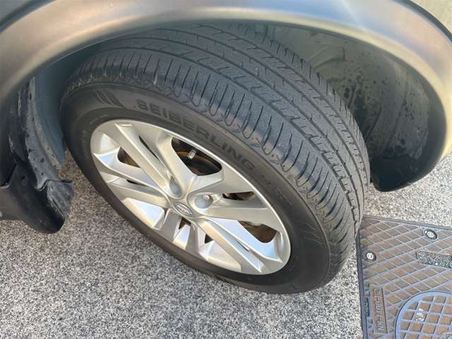 ����17�C���`�A���~�z�C�[�� �^�C���̎R����܂�