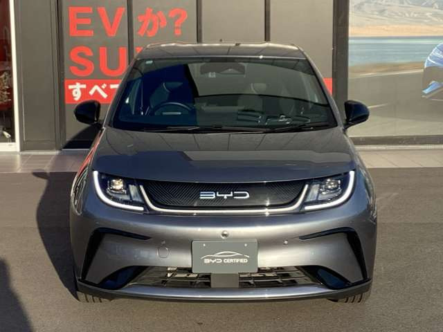 ドルフィンベースライン