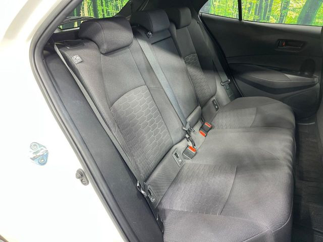 �㕔���Ȃ��C�ɂȂ�悤�ȃL�Y�E�����ւ��蓙�A�傫�ȃ_���[�W�͂Ȃ��A�ǍD�ȏ�Ԃł��B