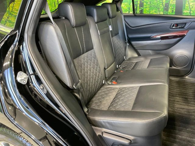 �㕔���Ȃ��C�ɂȂ�悤�ȃL�Y�E�����ւ��蓙�A�傫�ȃ_���[�W�͂Ȃ��A�ǍD�ȏ�Ԃł��B