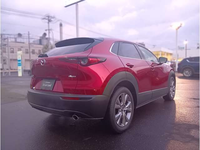 CX-301.8 XD Lパッケージ 4WD