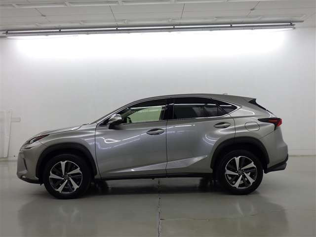 NX300 Iパッケージ