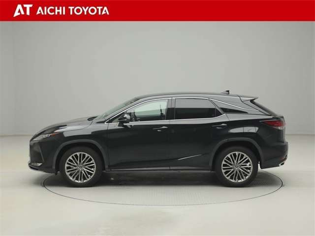 RX300 バージョンL