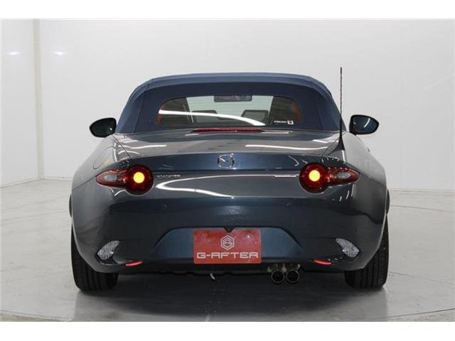 ���Ǝҗl�ւ̔̔��͂��f�肳���Ă��������܂��B �Ԍ������ԗ��̏ꍇ�́A�Ԍ����擾�������x�������z�ŕ\�����Ă���܂��B