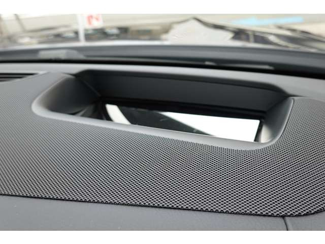 �w�b�h�A�b�v�f�B�X�v���C(���s�ɕK�v�ȏ����t�����g�K���X�ɉf���o���܂�)