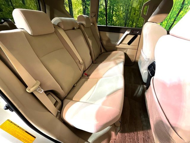 �㕔���Ȃ��C�ɂȂ�悤�ȃL�Y�E�����ւ��蓙�A�傫�ȃ_���[�W�͂Ȃ��A�ǍD�ȏ�Ԃł��B