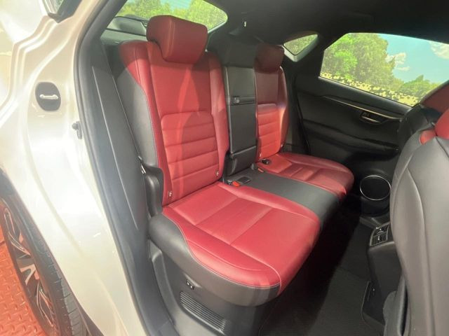 �㕔���Ȃ��C�ɂȂ�悤�ȃL�Y�E�����ւ��蓙�A�傫�ȃ_���[�W�͂Ȃ��A�ǍD�ȏ�Ԃł��B