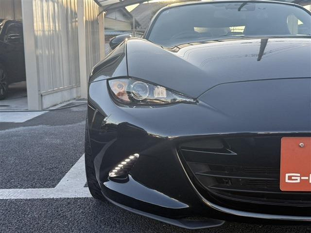 ���Ǝҗl�ւ̔̔��͂��f�肳���Ă��������܂��B �Ԍ������ԗ��̏ꍇ�́A�Ԍ����擾�������x�������z�ŕ\�����Ă���܂��B