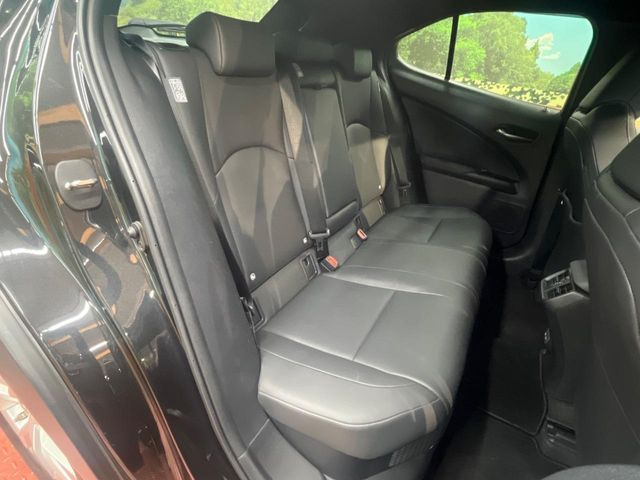 �㕔���Ȃ��C�ɂȂ�悤�ȃL�Y�E�����ւ��蓙�A�傫�ȃ_���[�W�͂Ȃ��A�ǍD�ȏ�Ԃł��B