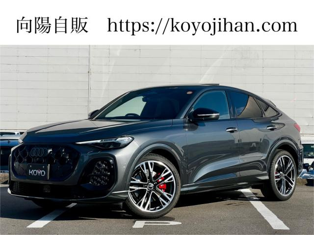 SQ5スポーツバック3.0 4WD