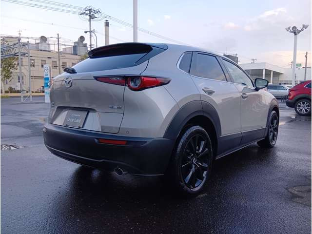CX-30