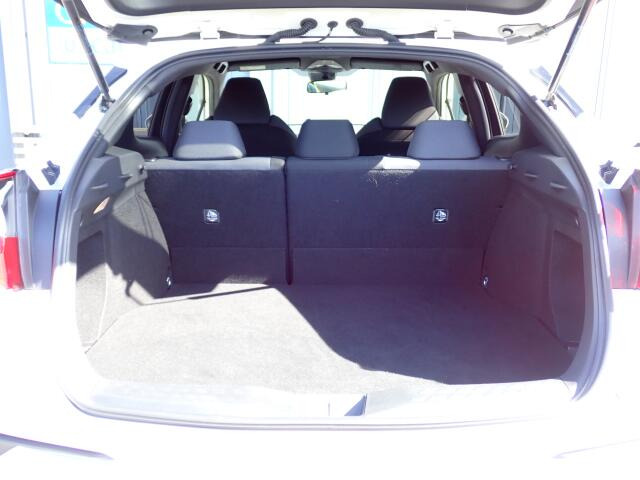 �ʏ펞�̃��P�b�W�X�y�[�X�ł�!�傫�ȊJ���ŉו��̏悹�~�낵���y�ɍs���܂��B