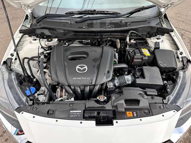 ���|�ς݂Ŕ��ɂ��ꂢ�ł���!!